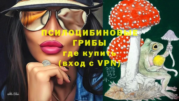 гашик Белокуриха